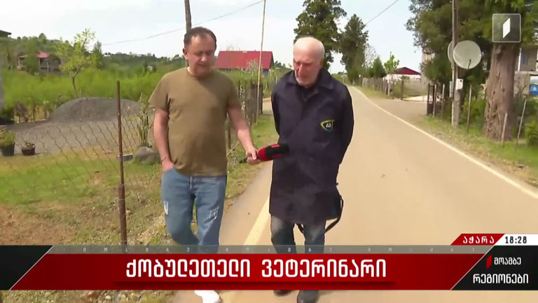 ქობულეთელი ვეტერინარი