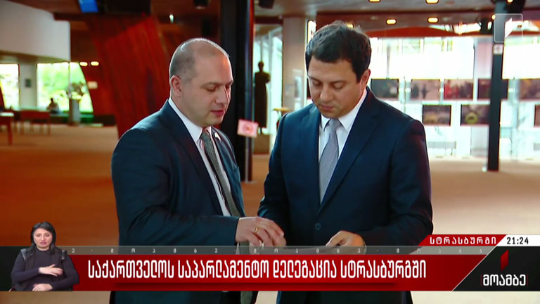 საქართველოს საპარლამენტო დელეგაცია სტრასბურგში