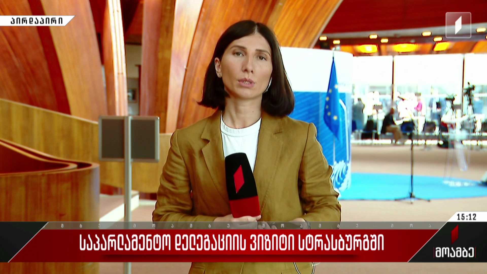 საპარლამენტო დელეგაციის ვიზიტი სტრასბურგში