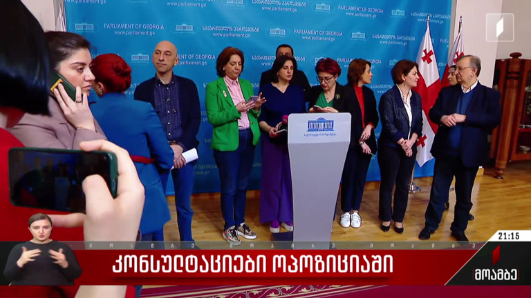 კონსულტაციები ოპოზიციაში