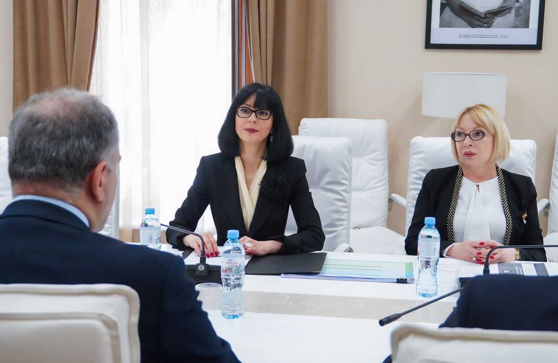თეა ახვლედიანმა პარლამენტის წევრებს „სამოქალაქო თანასწორობისა და ინტეგრაციის 2021-2030 წლების სახელმწიფო სტრატეგიის“ 2023-2024 წლების სამოქმედო გეგმა გააცნო