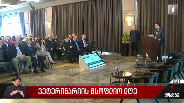 ვეტერინარიის მსოფლიო დღე