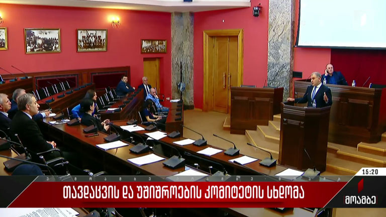 თავდაცვის და უშიშროების კომიტეტის სხდომა