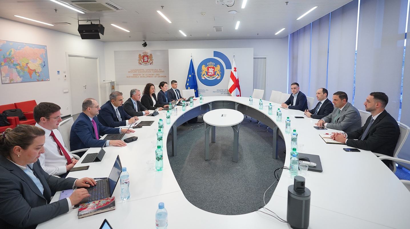ლევან დავითაშვილი საერთაშორისო სავალუტო ფონდის მისიის ხელმძღვანელს შეხვდა