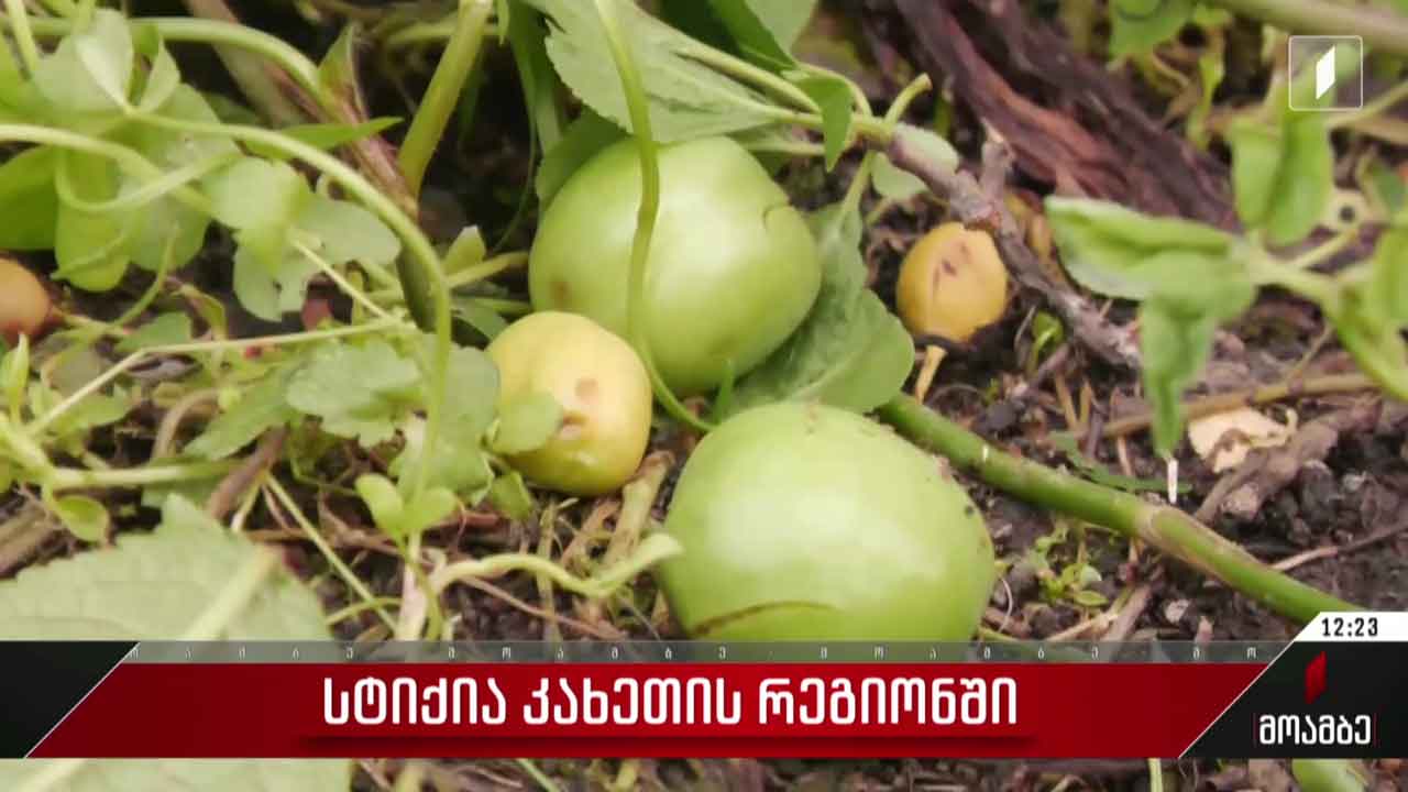 სტიქია კახეთის რეგიონში