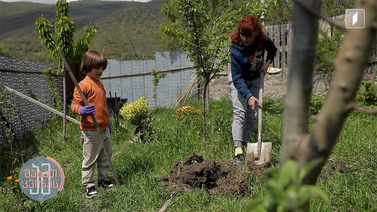 როგორ დავამზადოთ კომპოსტი და გამოვიყენოთ მცენარეების ჩარგვისთვის ლიკა ხუნდაძის სიუჟეტი