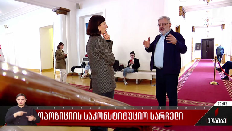 ოპოზიციის საკონსტიტუციო სარჩელი