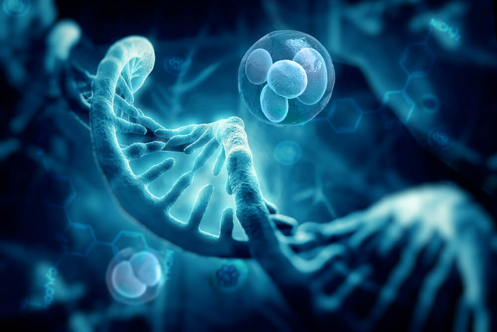 გენური ინჟინერიით, მეცნიერებმა უჯრედების დაბერება შეანელეს — #1tvმეცნიერება