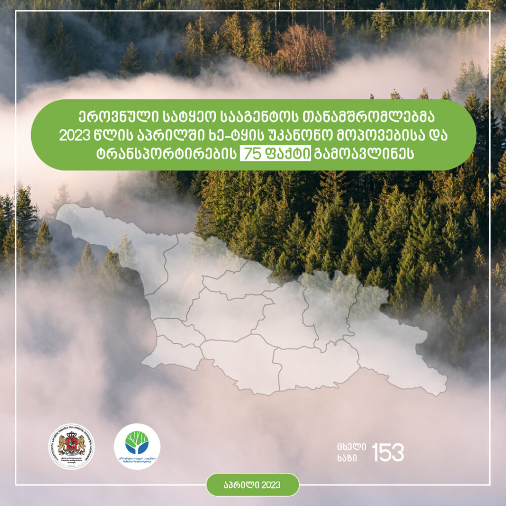 ეროვნული სატყეო სააგენტოს თანამშრომლებმა 2023 წლის აპრილის თვეში ხე-ტყის უკანონო მოპოვებისა და ტრანსპორტირების 75 ფაქტი გამოავლინეს