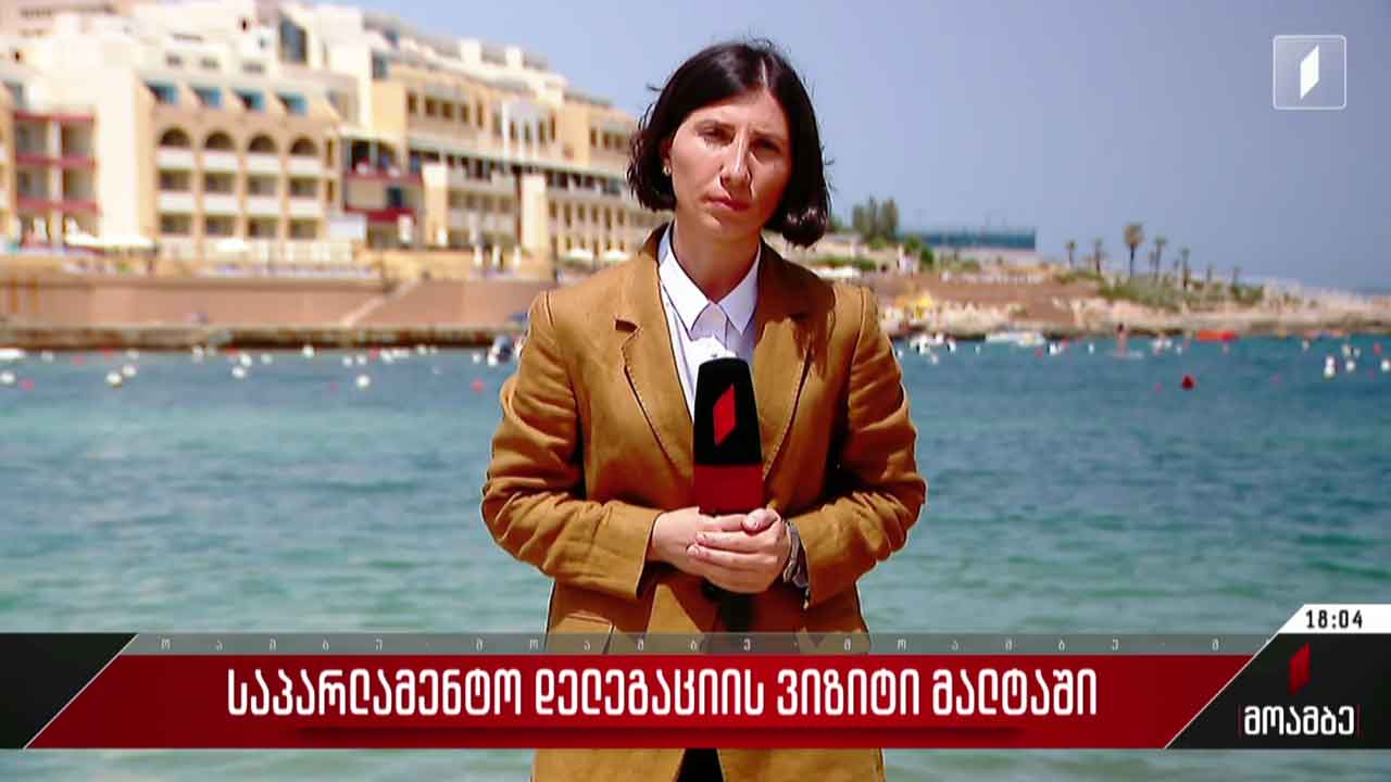 საპარლამენტო დელეგაციის ვიზიტი მალტაში