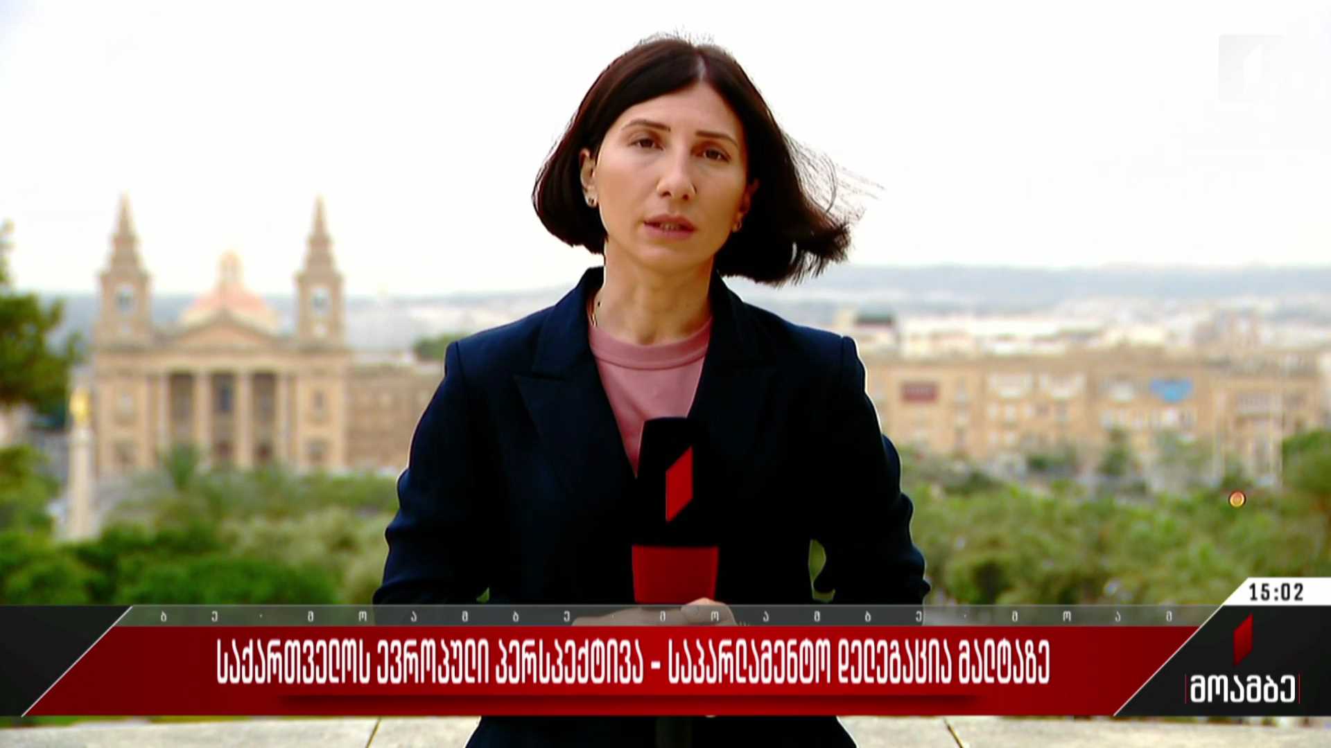 საქართველოს ევროპული პერსპექტივა - საპარლამენტო დელეგაცია მალტაზე