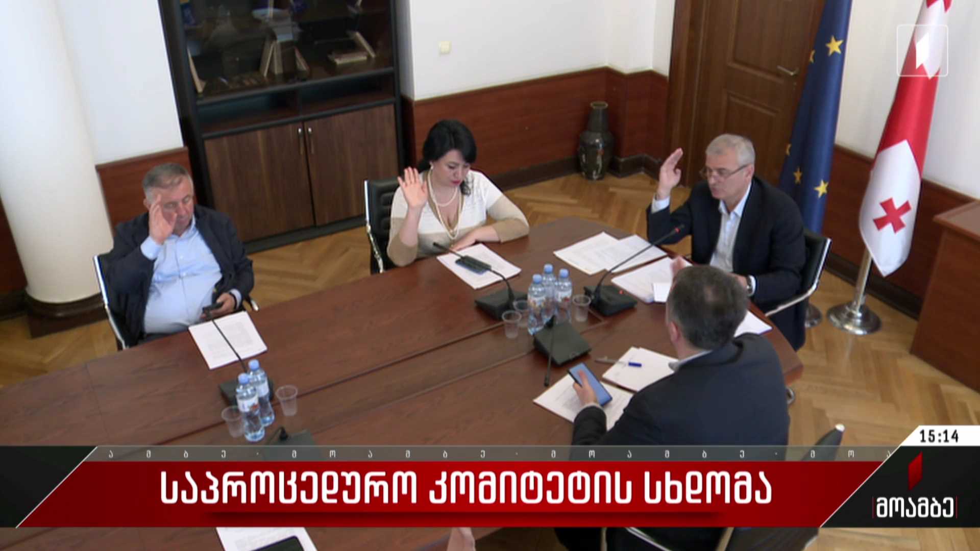 საპროცედურო კომიტეტის სხდომა