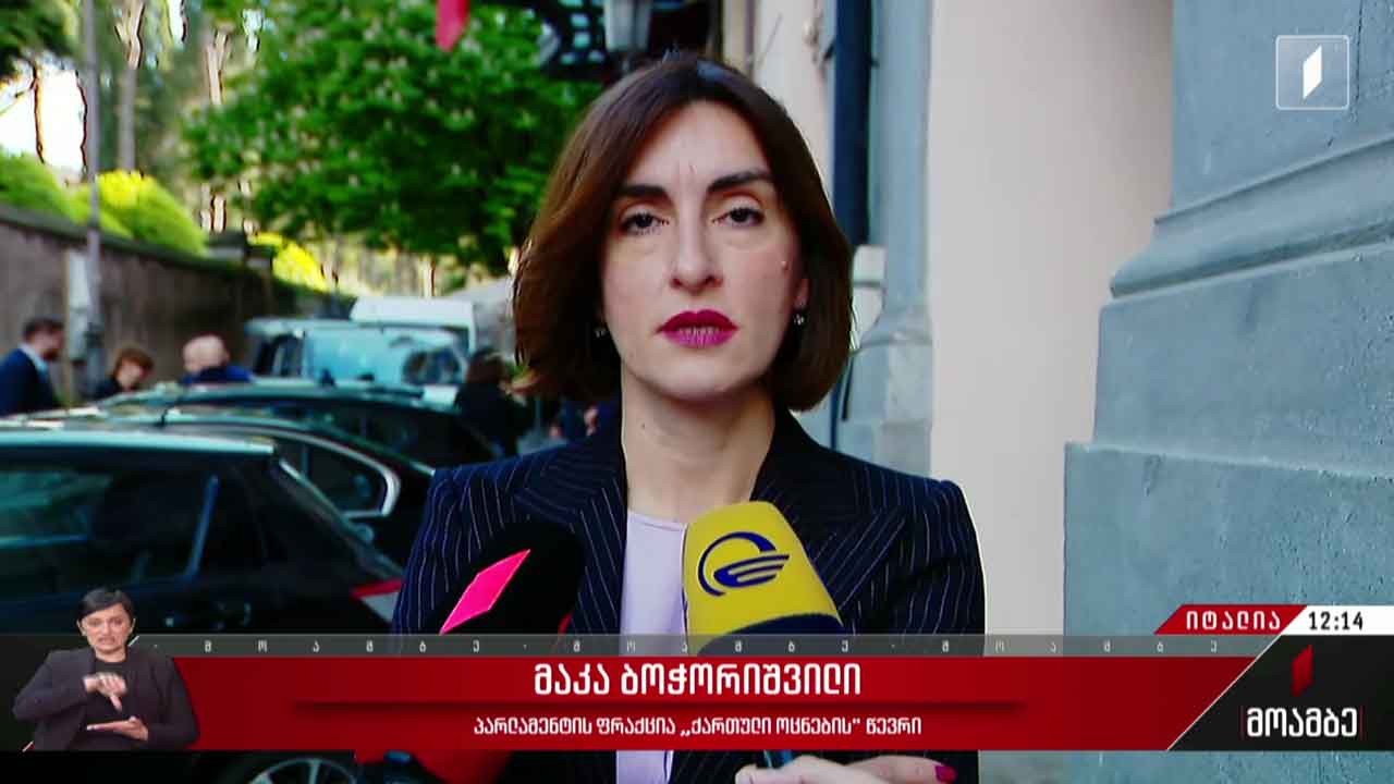 საპარლამენტო დელეგაციის ვიზიტი იტალიაში