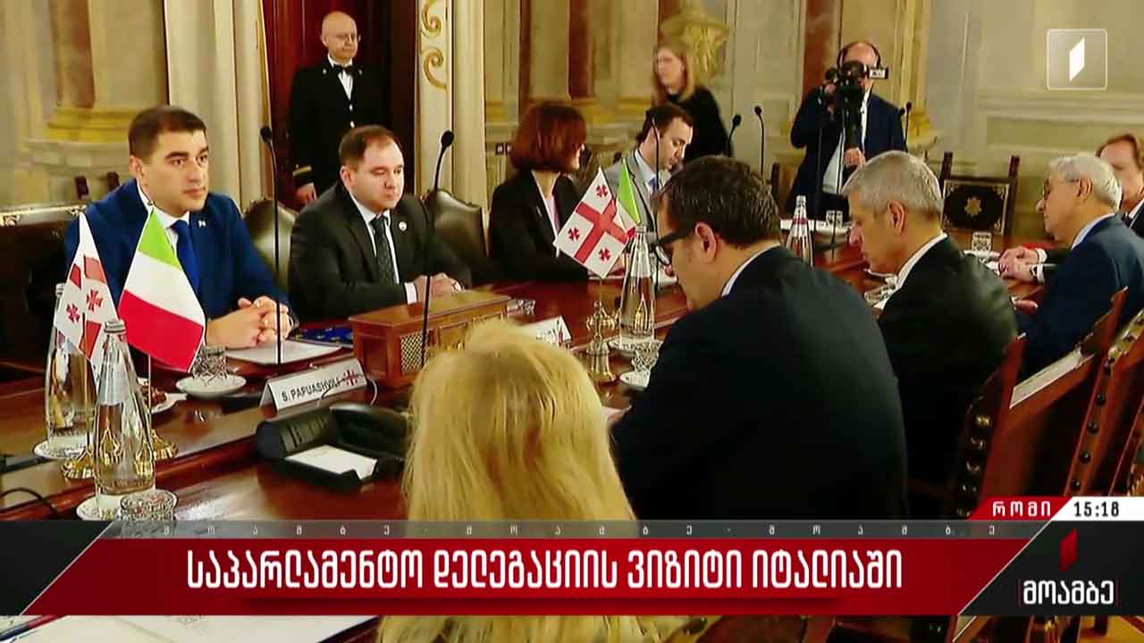 საქართველოს საპარლამენტო დელეგაციის ვიზიტი იტალიაში