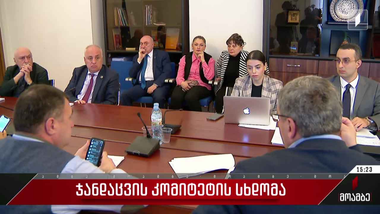 ჯანდაცვის კომიტეტის სხდომა