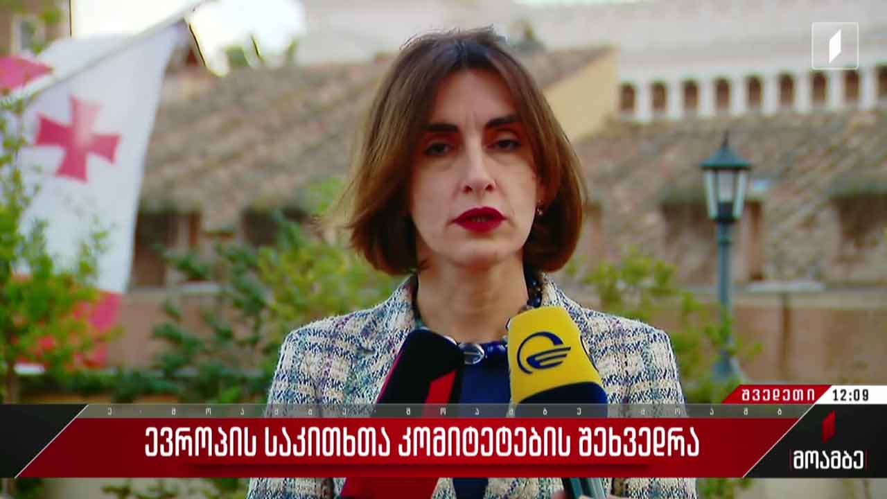 ევროპის საკითხთა კომიტეტების შეხვედრა