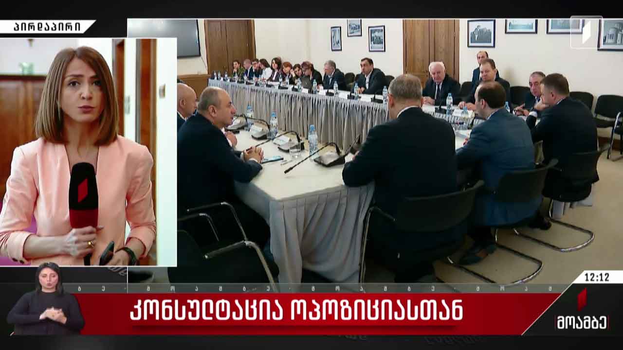 კონსულტაცია ოპოზიციასთან