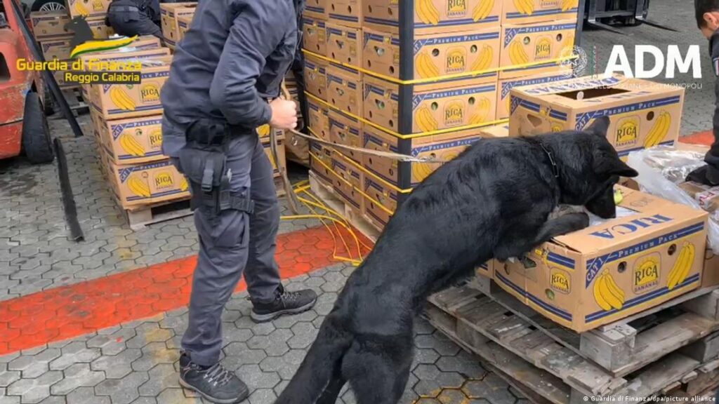 მედიის ცნობით, იტალიის პოლიციამ 800 მილიონი ევროს ღირებულების კოკაინით დატვირთული ხომალდი დააკავა, რომელიც იტალიიდან სომხეთში ბათუმის პორტიდან უნდა გადაეტანათ