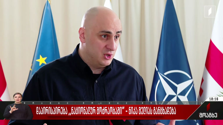 დაპირისპირება „ნაციონალურ მოძრაობაში“ – ნიკა მელიას განცხადება