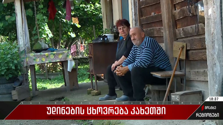 უდინების ცხოვრება კახეთში