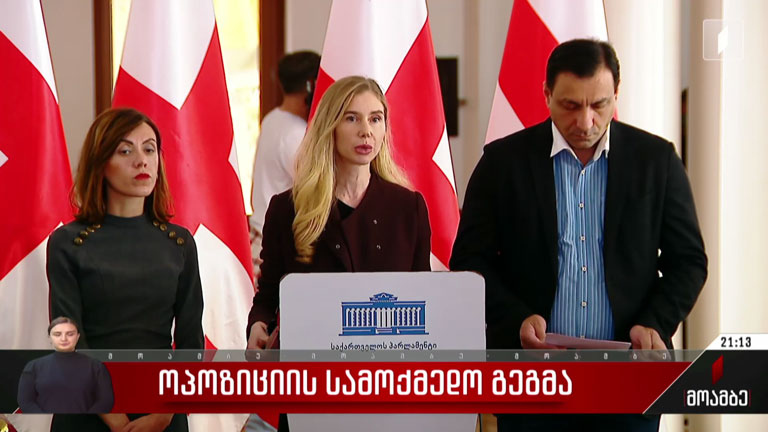 ოპოზიციის სამოქმედო გეგმა