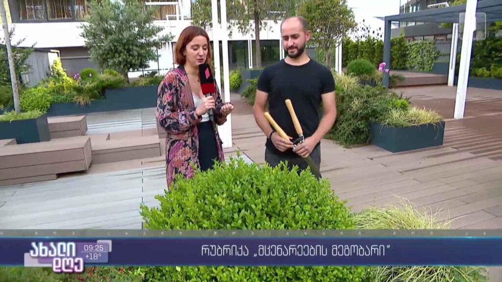 რუბრიკა „მცენარეების მეგობარი“ – ექსტერიერის მცენარეთა მოვლა
