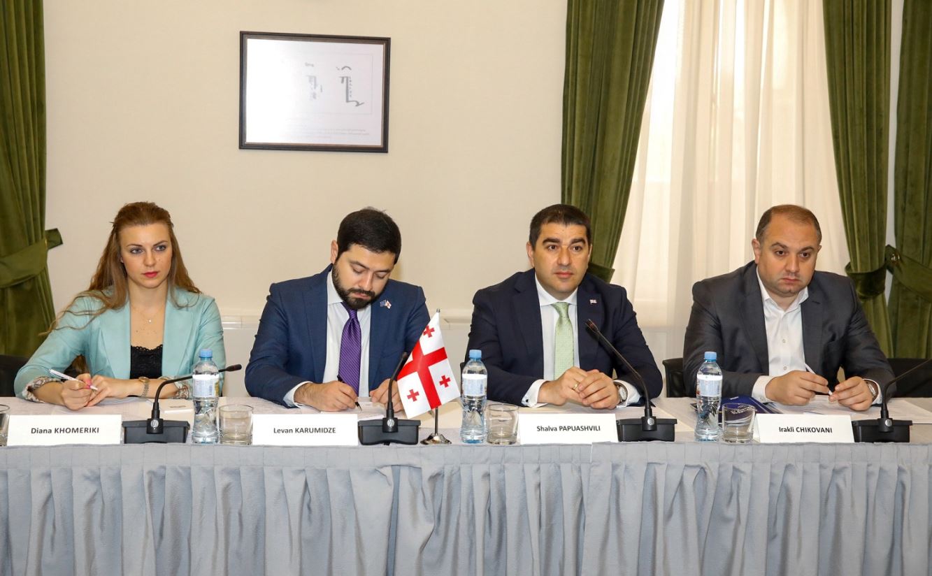 შალვა პაპუაშვილი ჩეხეთის რესპუბლიკის პარლამენტის დელეგაციას შეხვდა