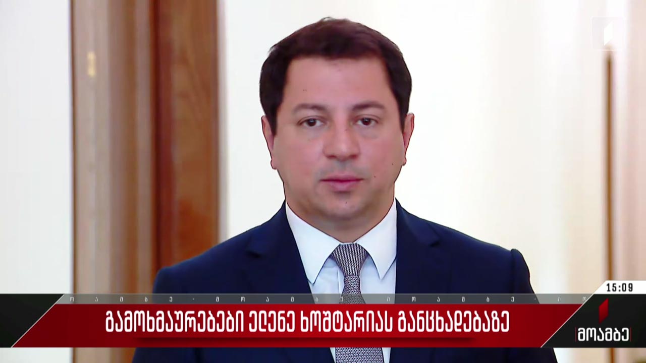 გამოხმაურებები ელენე ხოშტარიას განცხადებაზე