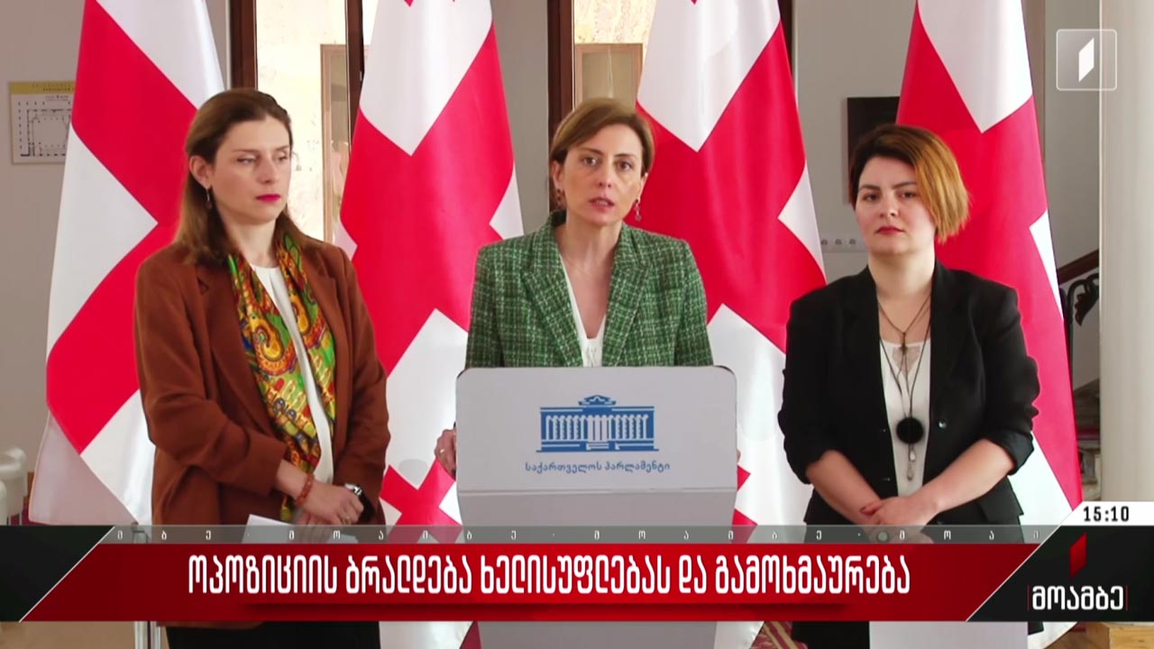 ოპოზიციის ბრალდება ხელისუფლებას - გამოხმაურება
