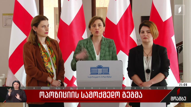 ოპოზიციის სამოქმედო გეგმა