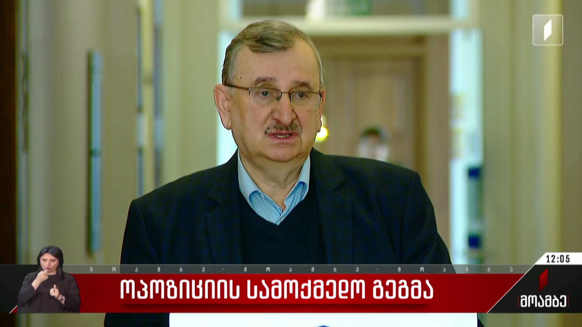 ოპოზიციის სამოქმედო გეგმა