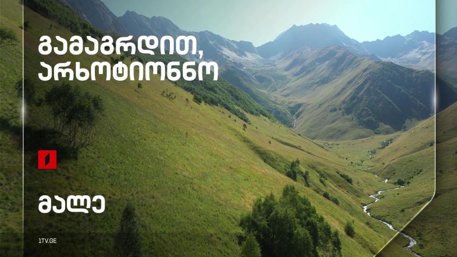 გამაგრდით, არხოტიონნო – მალე