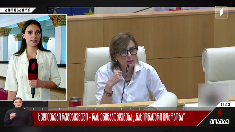 ცვლილებები რეგლამენტში - რას ეწინააღმდეგება „ნაციონალური მოძრაობა“