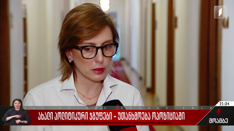 ახალი პოლიტიკური ჯგუფები - უთანხმოება ოპოზიციაში