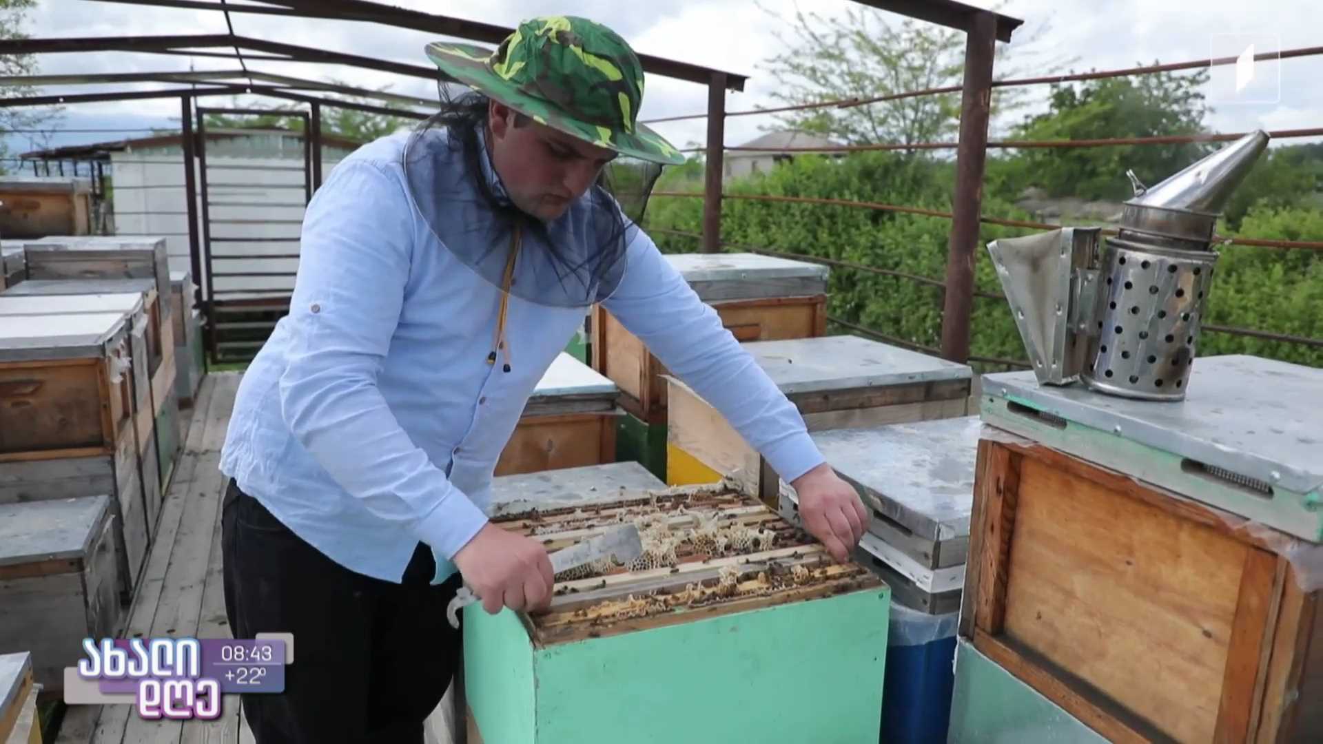 ფუტკრების ერთგული მეგობარი, გიორგი ოზბეთელაშვილი სოფელ ზემო მაჩხაანიდან