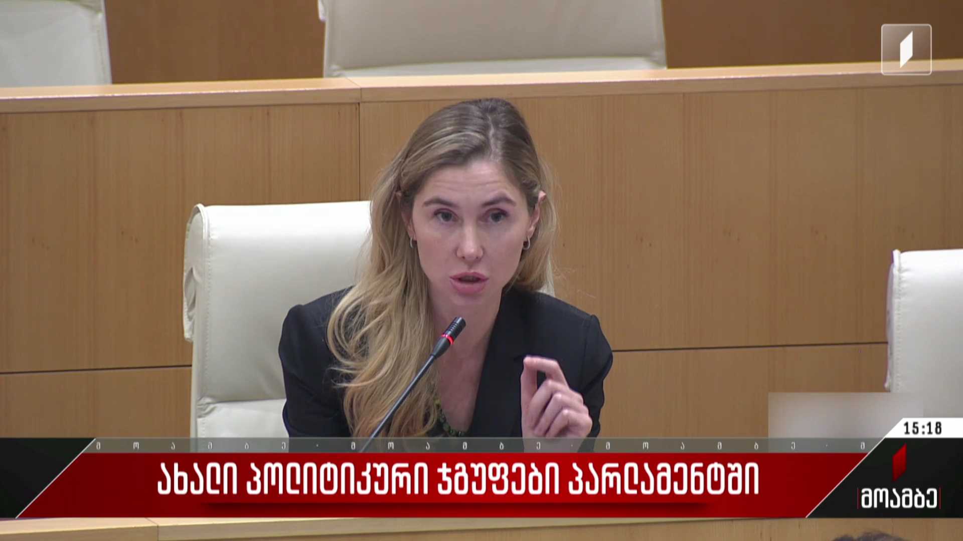ახალი პოლიტიკური ჯგუფები პარლამენტში