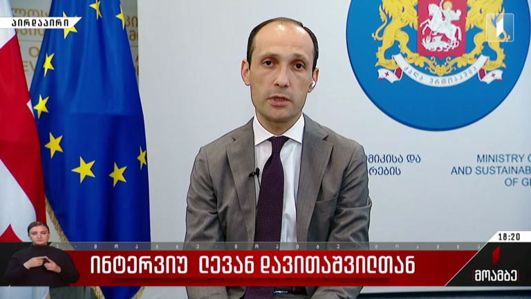ინტერვიუ ლევან დავითაშვილთან