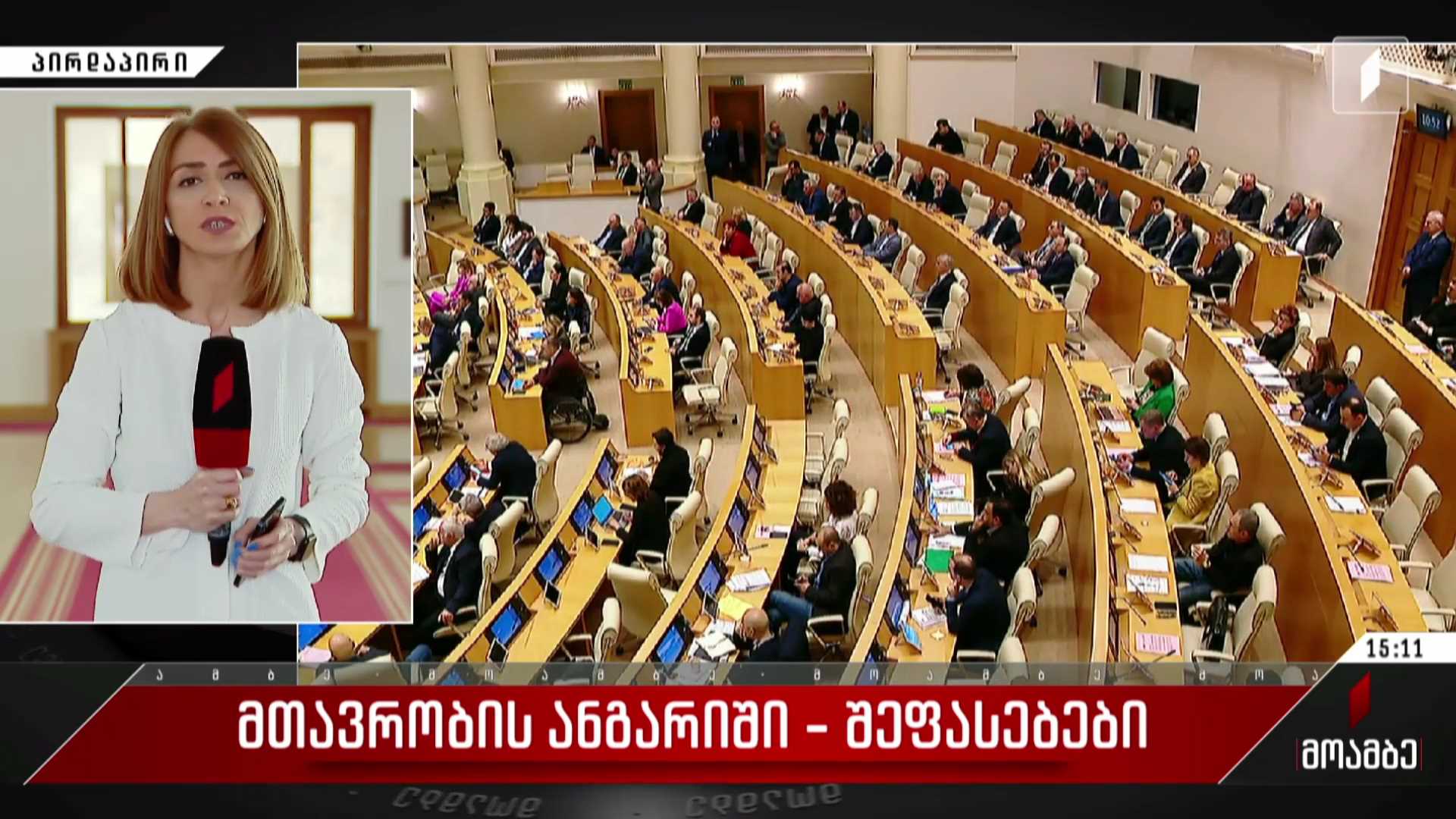 მთავრობის ანგარიში - შეფასებები პოლიტიკურ სპექტრში