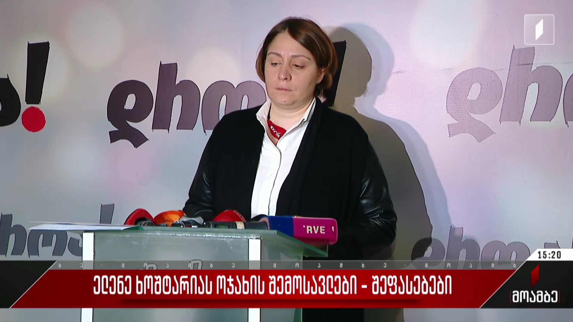 ელენე ხოშტარაის ოჯახის შემოსავლები - შეფასებები პოლიტიკურ სპექტრში