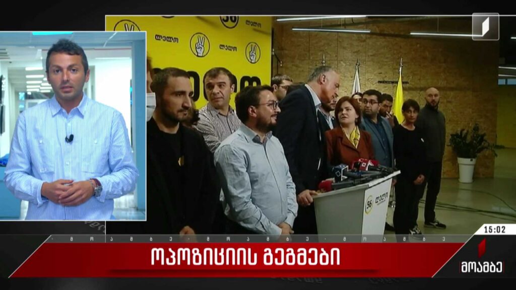 ოპოზიციის გეგმები