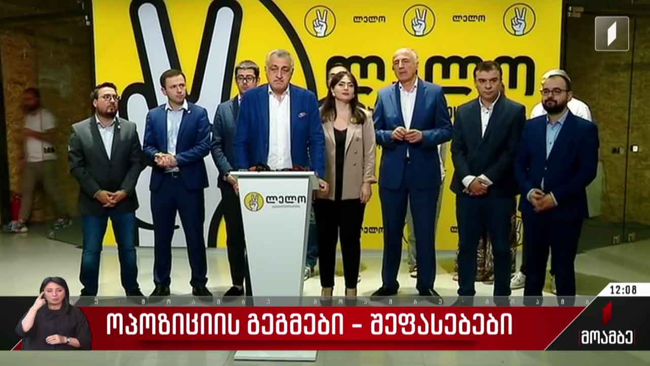 ოპოზიციის გეგმები - შეფასებები
