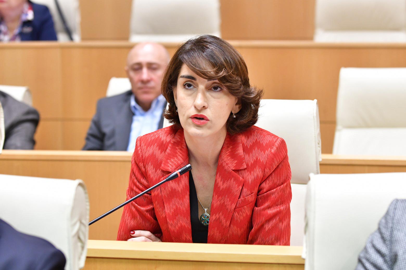 მაკა ბოჭორიშვილი - დიდი ხანია, ვაკვირდებით, რომ ქართველი პოლიტიკოსები აქტიურად მუშაობენ საერთაშორისო ასპარეზზე, როგორმე დაასანქცირონ ქვეყანა, ეს მცდელობები ქვეყნის ღალატის ტოლფასია