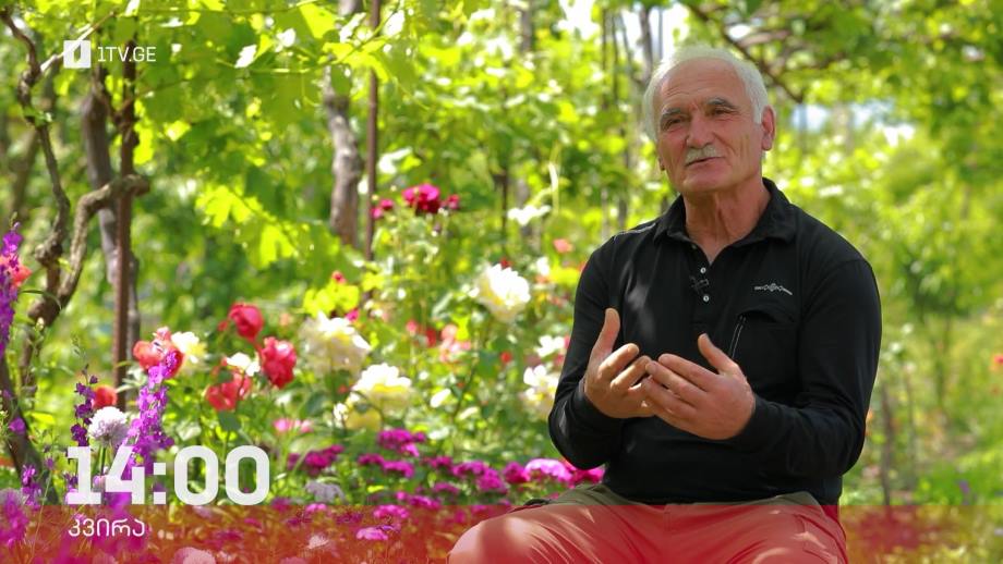 „ფერმა“ – 11 ივნისს, 14:00