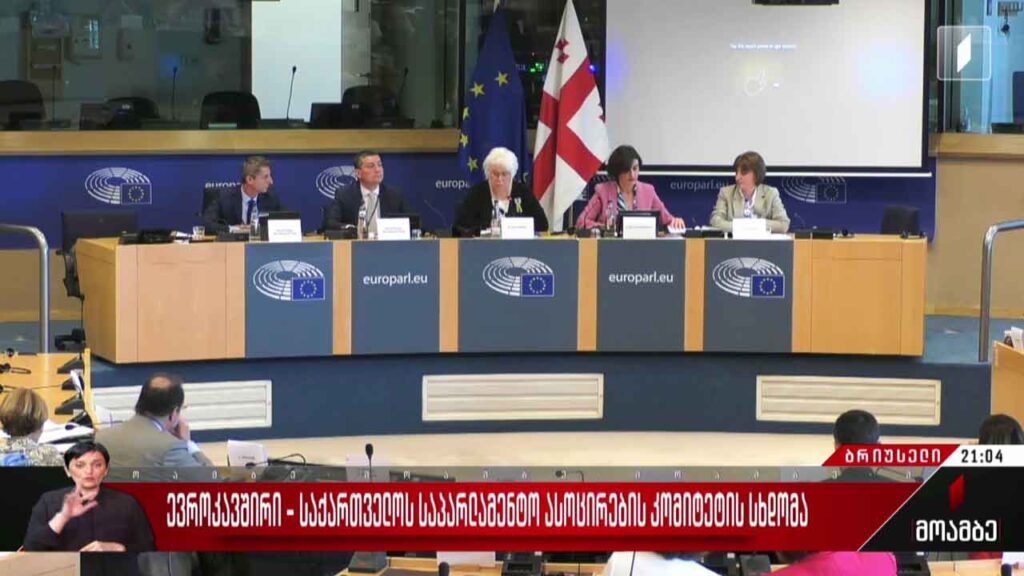 ევროკავშირი-საქართველოს საპარლამენტო ასოცირების კომიტეტის სხდომა