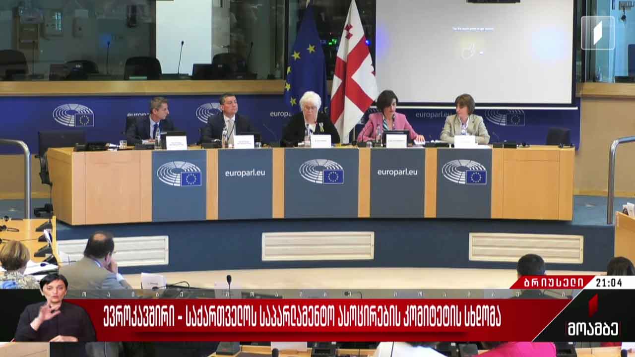 ევროკავშირი-საქართველოს საპარლამენტო ასოცირების კომიტეტის სხდომა