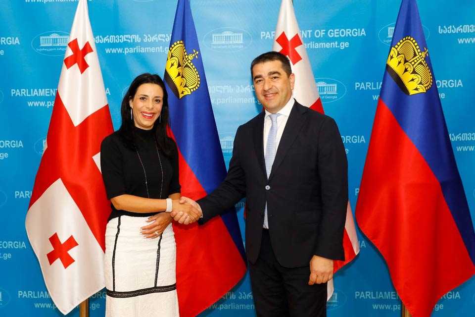შალვა პაპუაშვილი ლიხტენშტაინის საგარეო საქმეთა მინისტრს შეხვდა