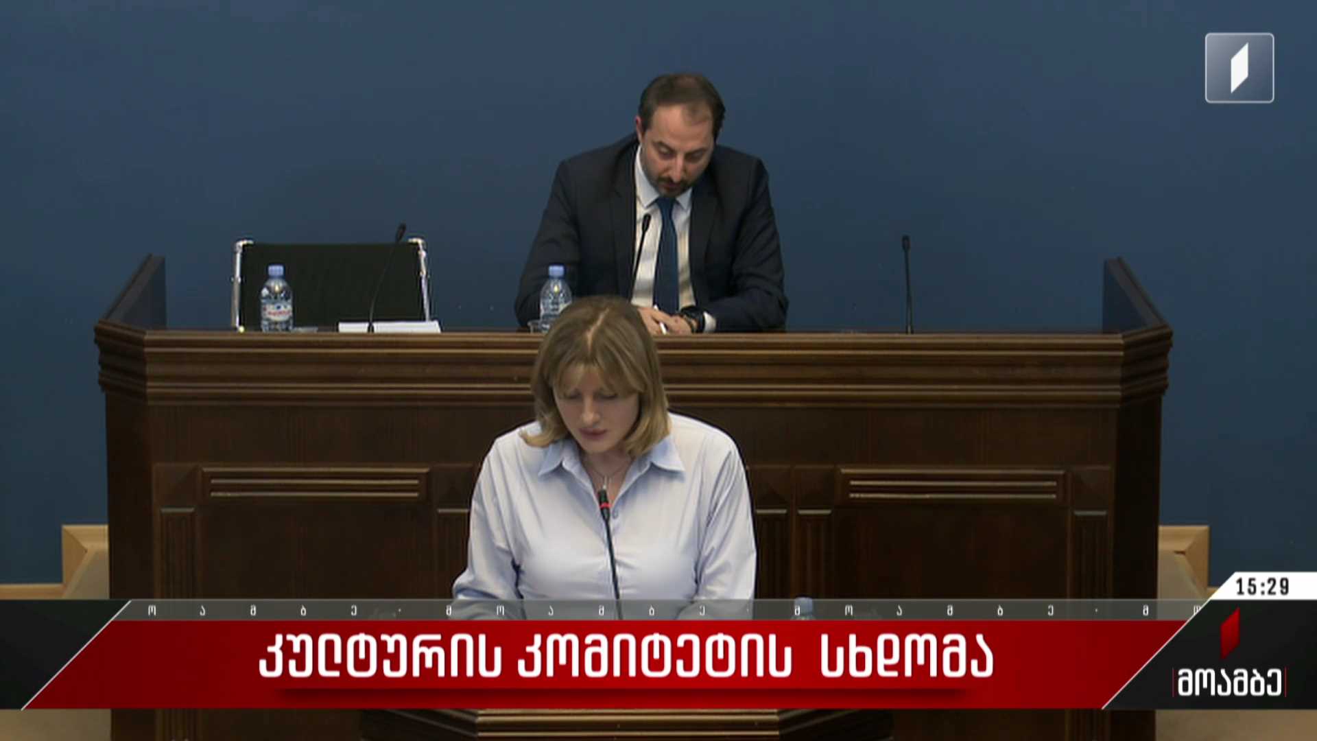 კულტურის კომიტეტის სხდომა