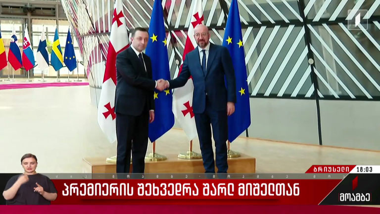 პრემიერის შეხვედრა შარლ მიშელთან