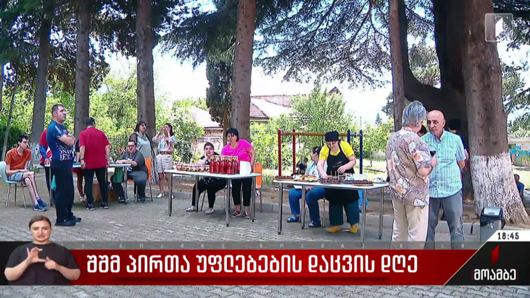 შშმ პირთა უფლებების დაცვის დღე