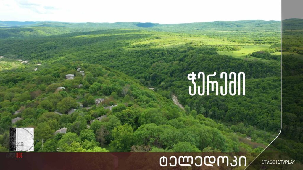 „ჭერემი“ – ბესიკ გაფრინდაშვილის #ტელედოკი